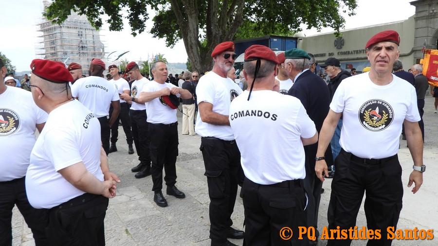 505874007-2426594041056106-2785195861245609464-n