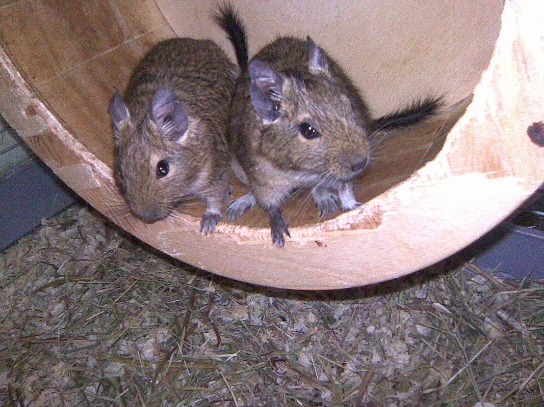 Image078
