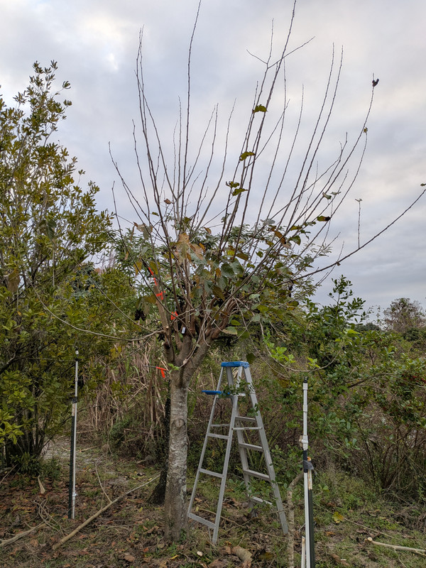 PXL 20260112 130720748