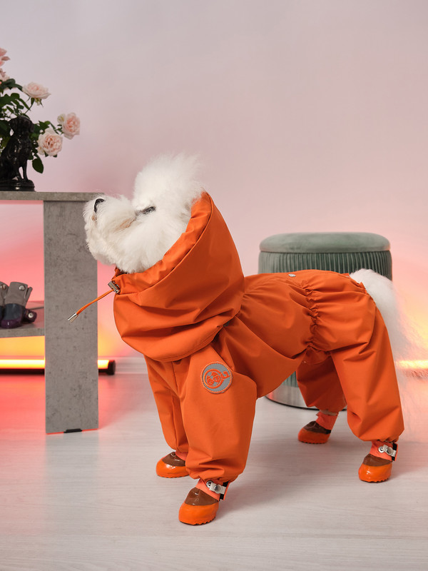 Собака в оранжевом комбинезоне