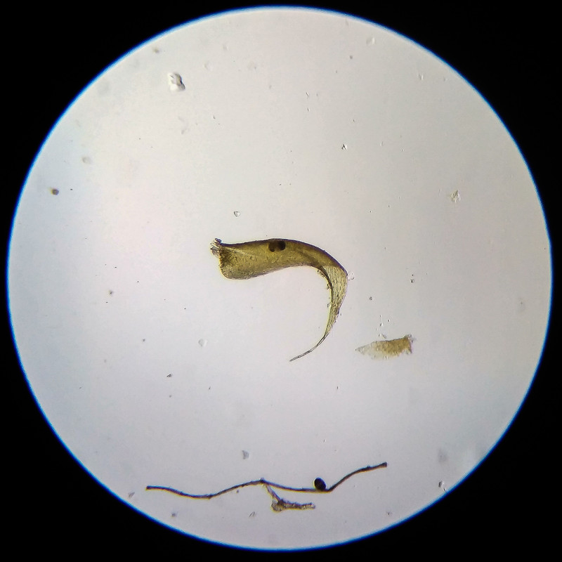 IMG 20250614 204406 HDR