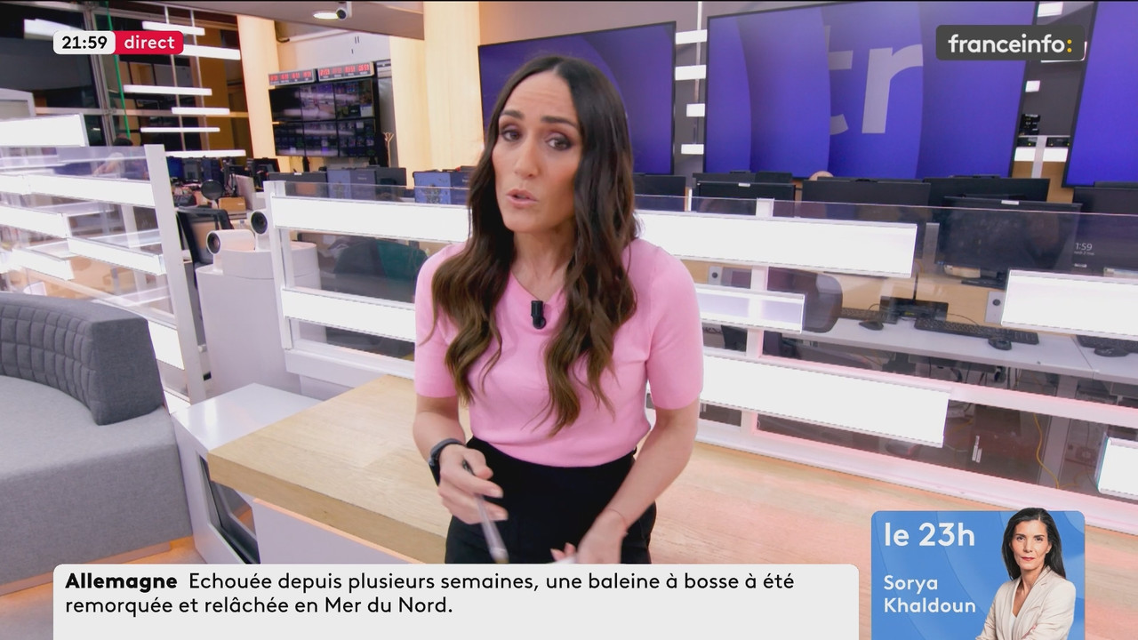 Le Pour et le Contre (Franceinfo) 2026 05 02 20 54 55 ts snapshot 00 06 25 031