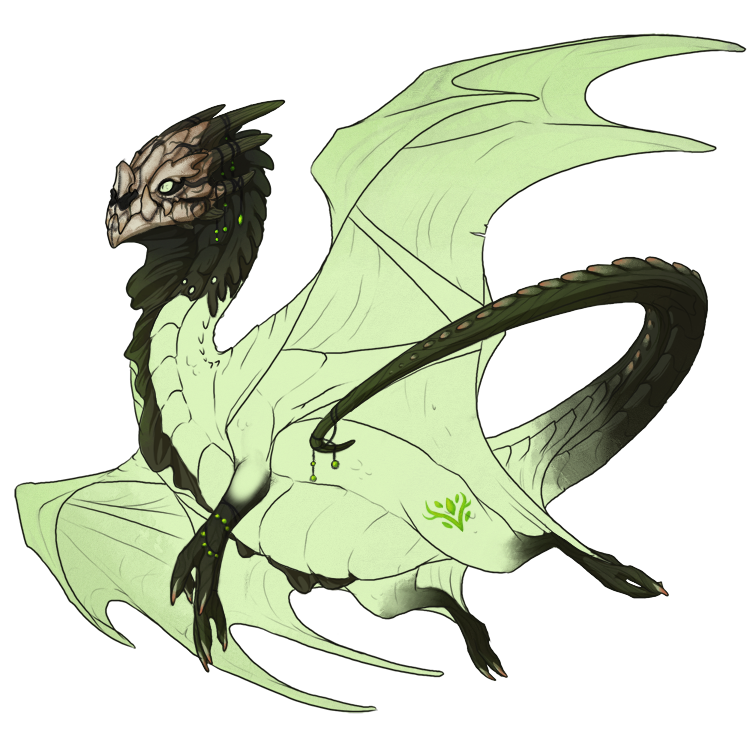 skin-nocturne-m-dragon-elements-friendly.png