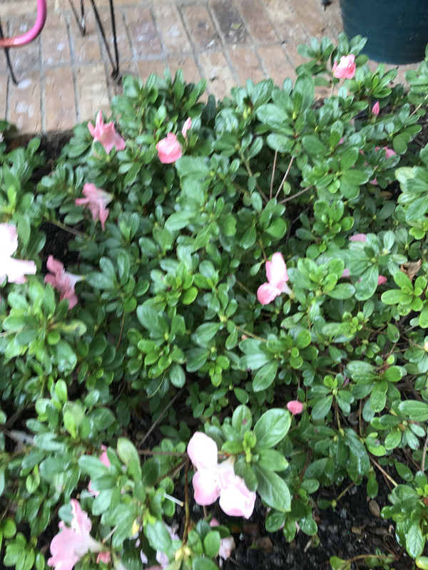 B55DC8F5-0214-4B38-8845-697A1CA5259A