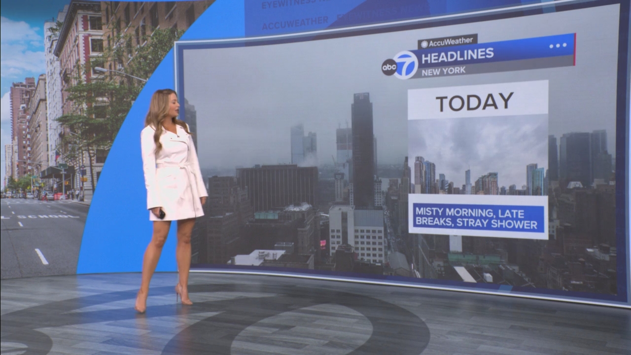 Eyewitness News Mornings at 10_20250529_15001600.ts_snapshot_00.49.24.117