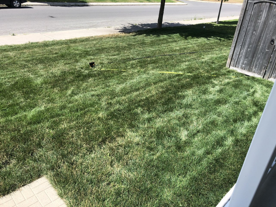 25EE36A6-26DB-4228-91B6-C6E38B23E6E3