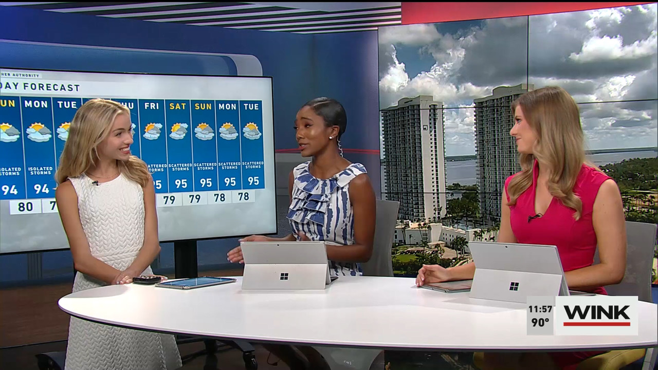 07.09 - 16.30.00 - WINK NEWS at 11 30am. Midday news..ts_snapshot_33.51.029