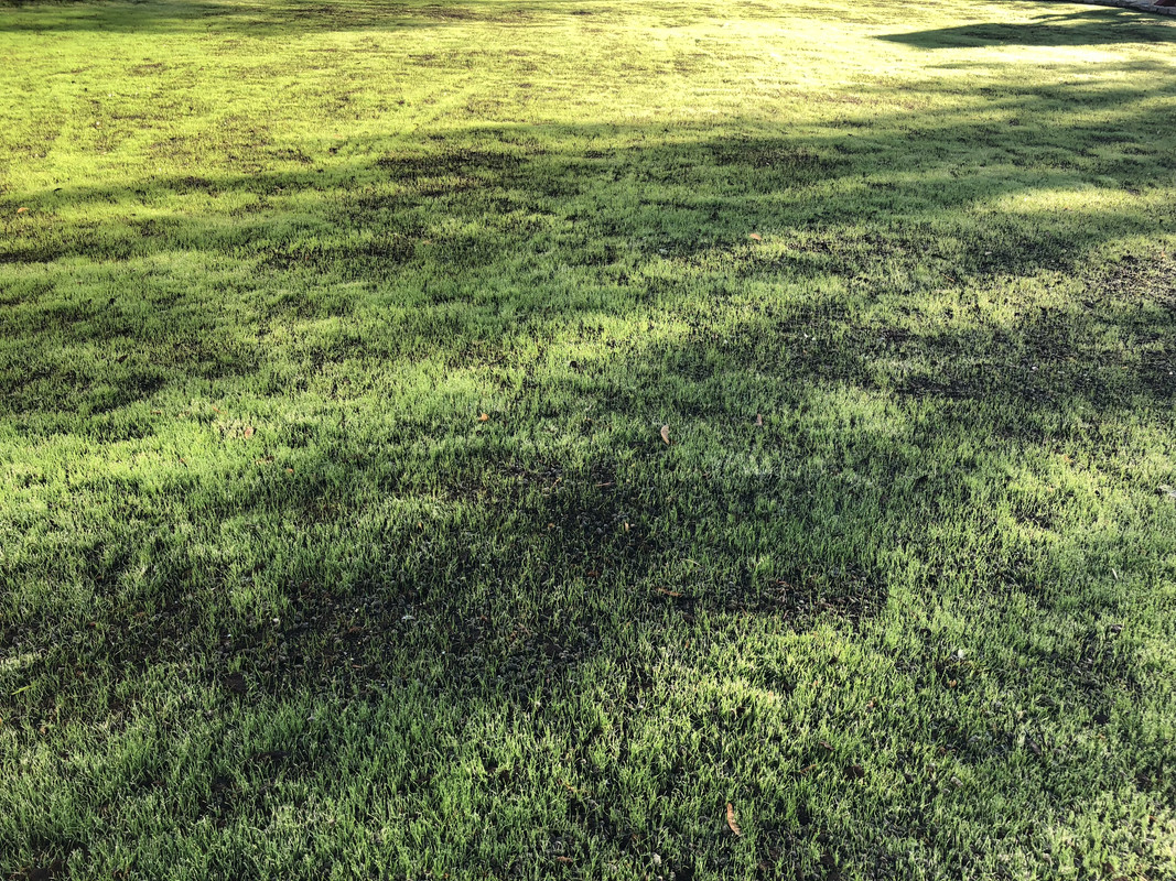 4A773A1E-9A14-439D-BCDF-A4EEAC6E2824