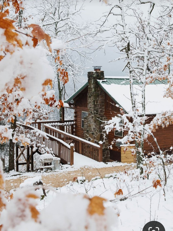 Screenshot_20230403_235904_Pinterest