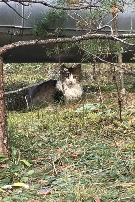 5398AF81-74F3-4226-977A-2E51B1A12748