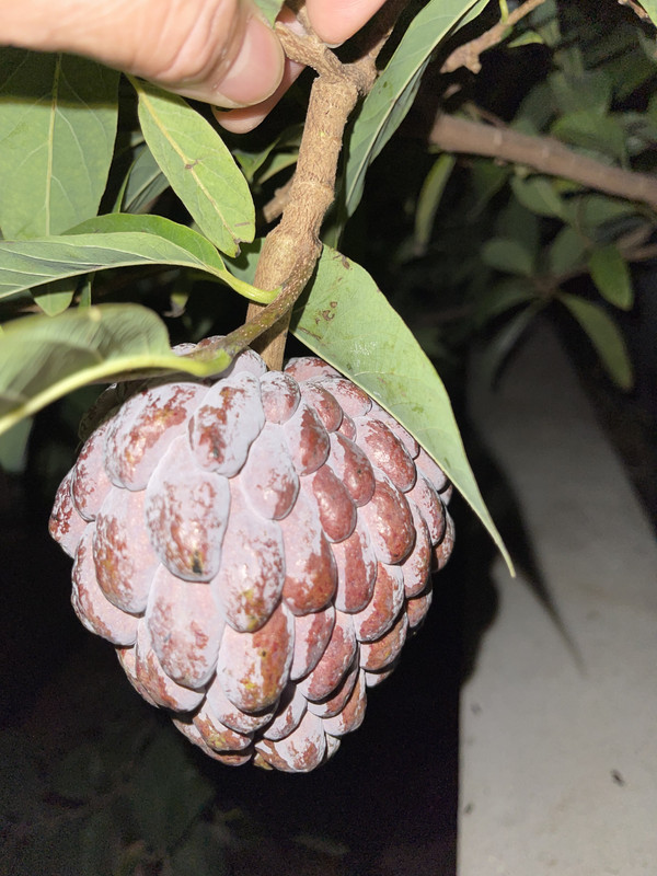 8C1C16F6-D5E9-4E75-A858-23F8A65E8023