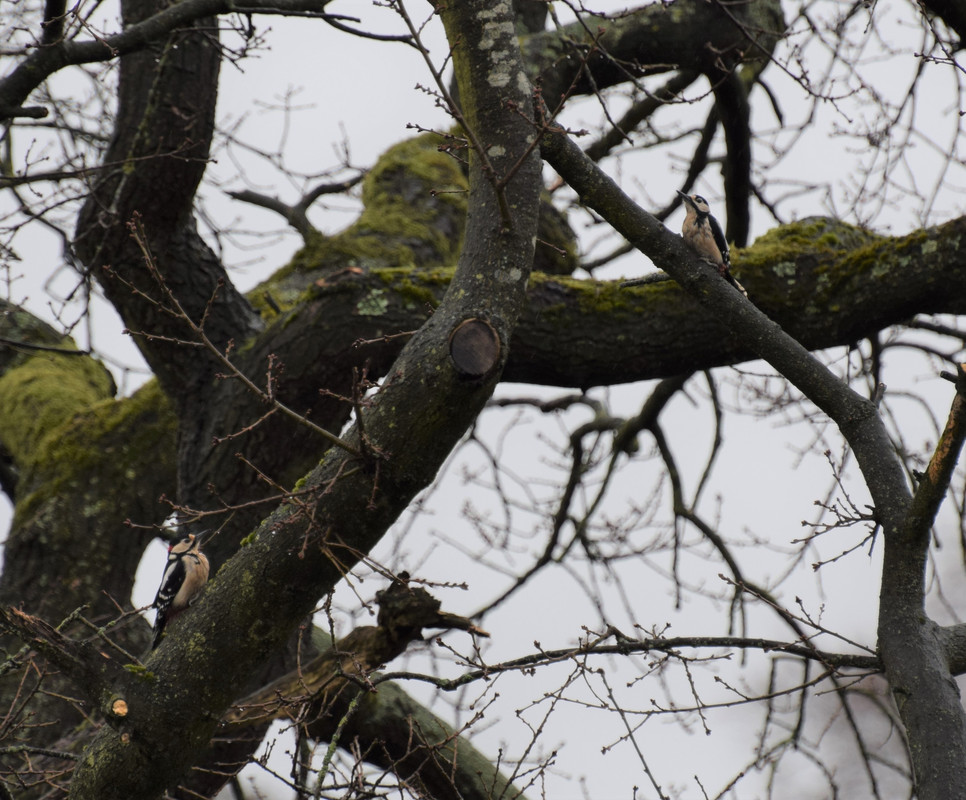 5FF5110A-94A5-4E72-9C4B-543FF53BF581