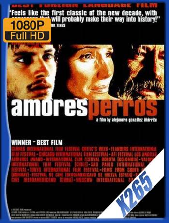 Amores Perros (2000) H265 10Bits Latino