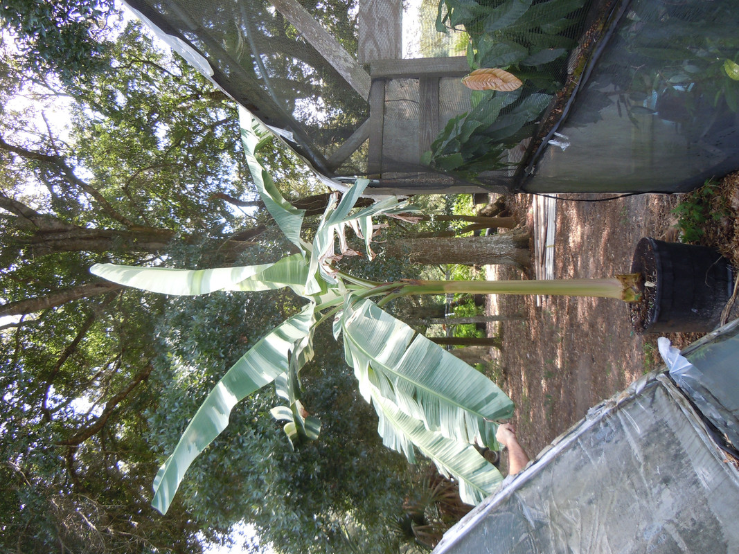 DSCN0456