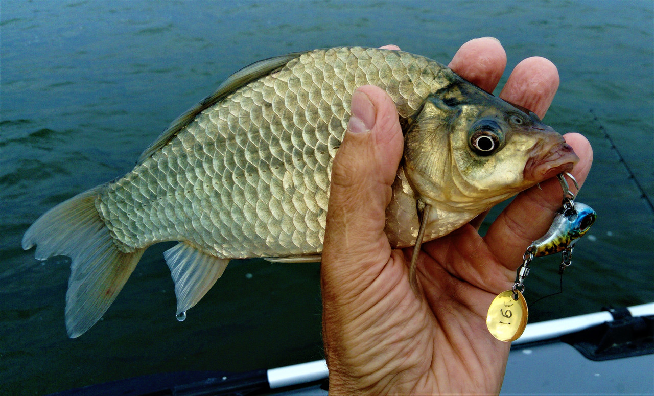 DSC_0968 — копия