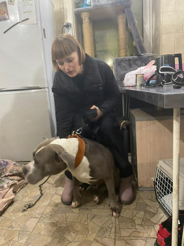 23AC003D-0678-4D6C-951B-F83D0F1914B1