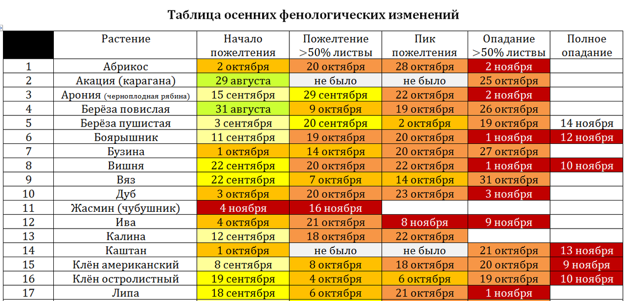 Снимок фенологии 16.11.24 ч1