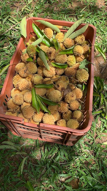 0E08BA5D-053F-4AB0-9458-2F47B472D730