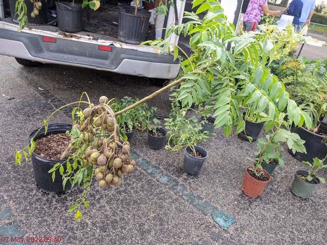 [Image: PXL-20220507-134025167.jpg]