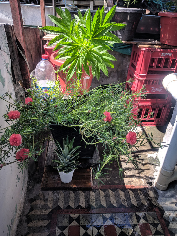 HC_20230111_120608_null