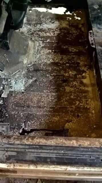 17690533_621888844677543_1119133532_n