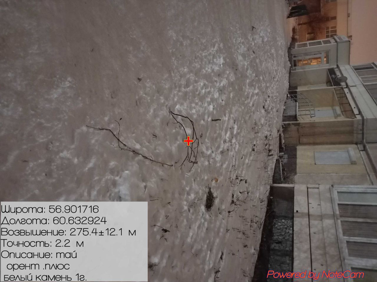 photo 41 2025 12 14 11 51 03