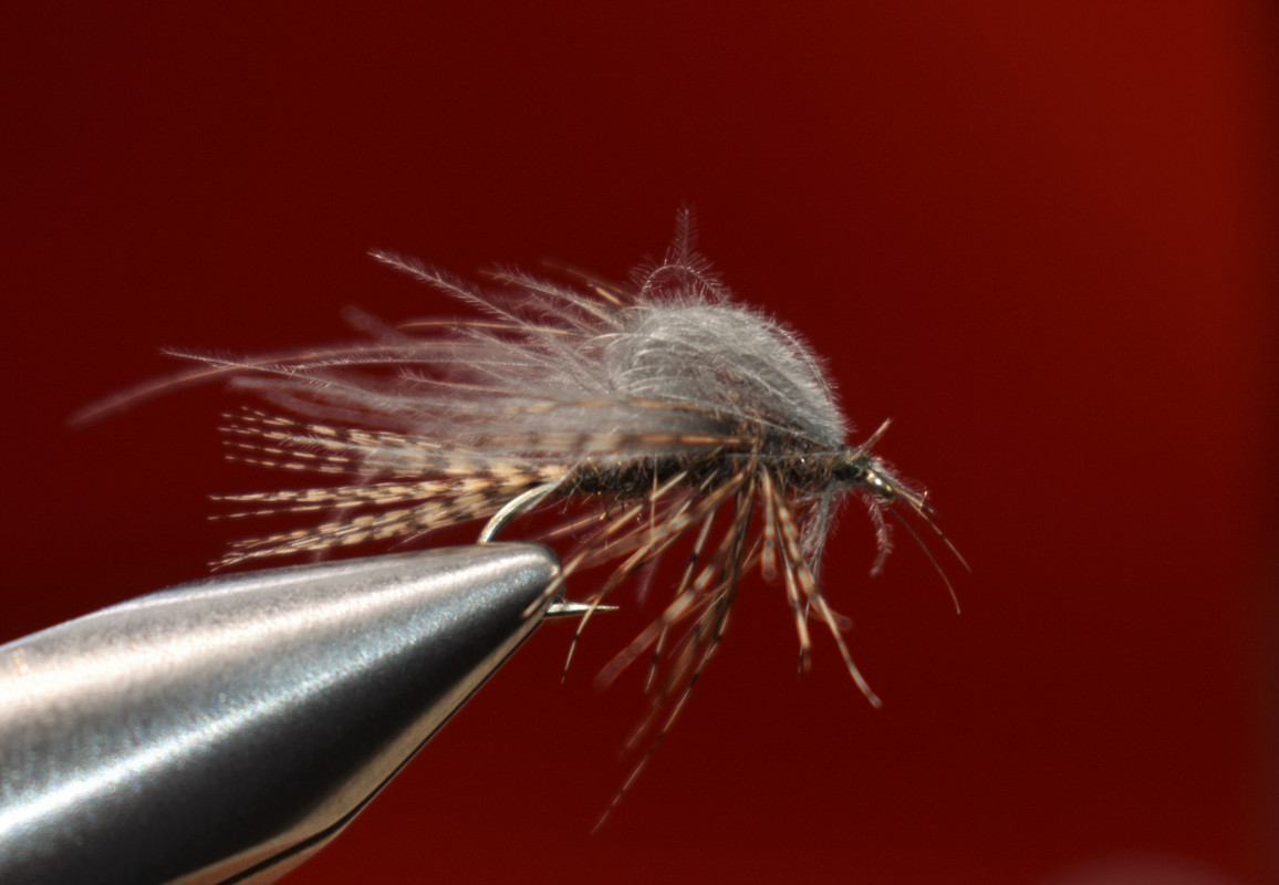 Mark's CDC Emerger (Hendrickson)