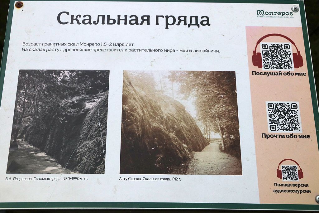 https://i.postimg.cc/wBWhzv3z/IMG-2603.jpg