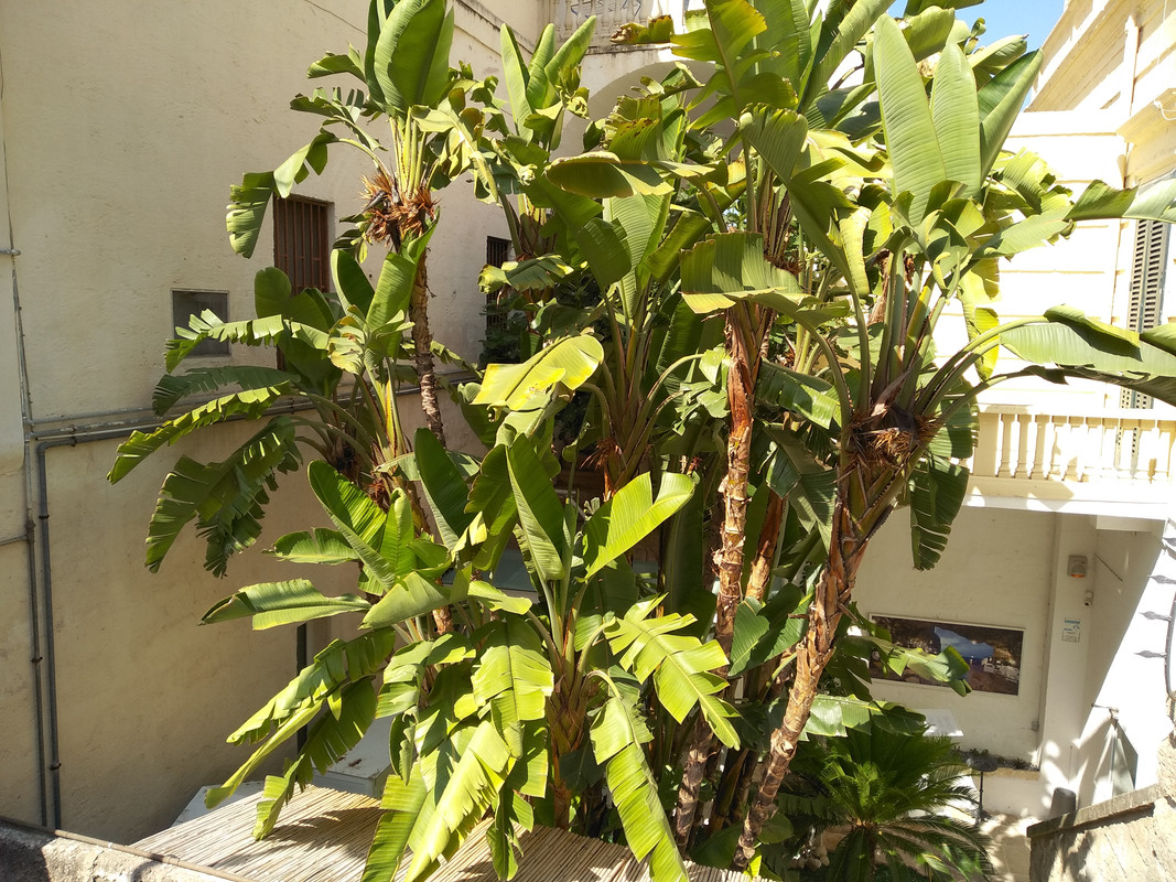 [Obrazek: IMG_20180706_155118.jpg]
