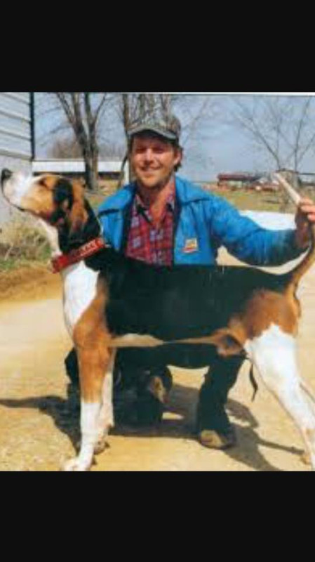 Wagers Stylish Lipper a