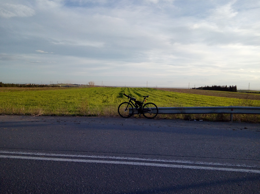 IMG-20210210-171731.jpg