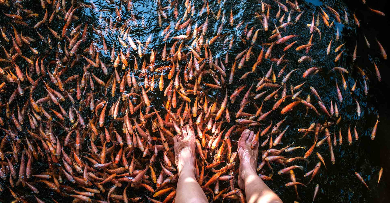Madu River Scenery 3