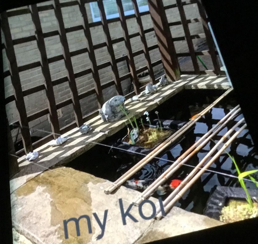 244DE12B-5B64-44D8-8E67-28071E13DE54