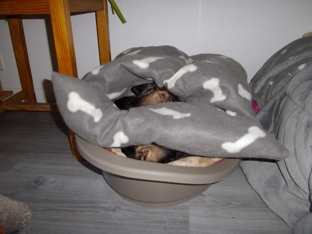 [Image: IMGP0926.jpg]