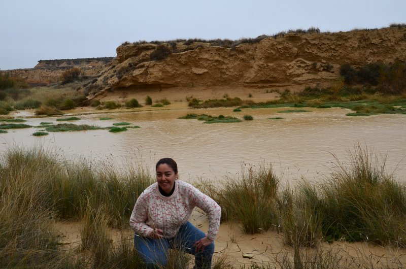 Navarra y sus pueblos-2015 - Blogs de España - Las Bárdenas Reales-15-11-2015 (27)