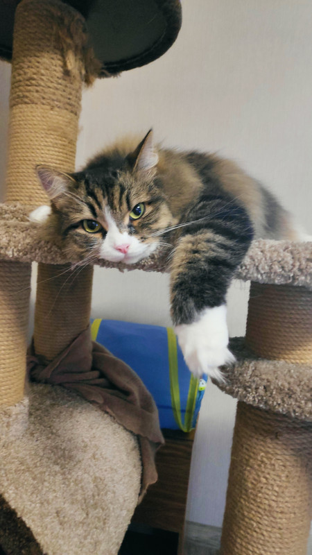 IMG_20220812_062943_1