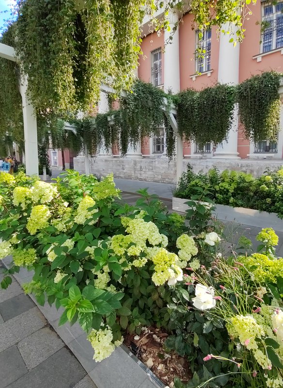 https://i.postimg.cc/wBXJHyhw/08-IMG-20230801-165405.jpg