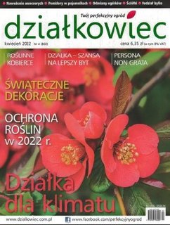 Obrazek