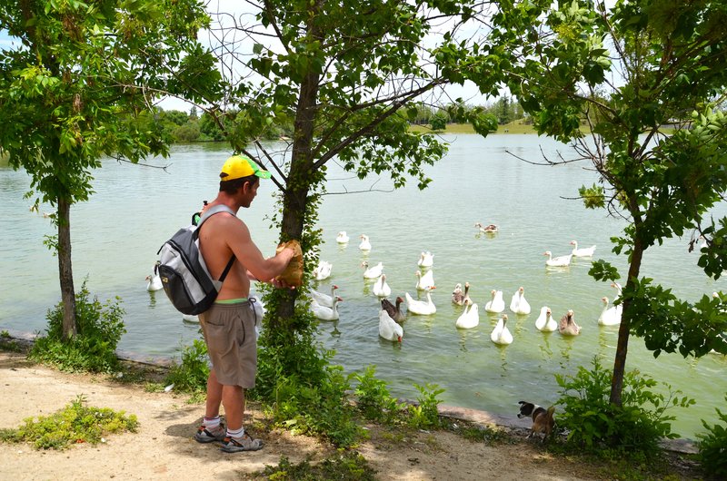 PARQUE DE POLVORANCA-2016/2022-MADRID - Paseando por España-1991/2016 (4)