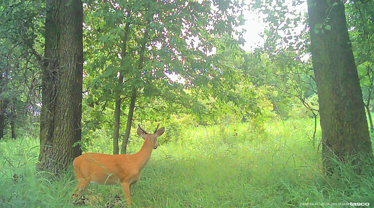 5DD7782E-38A3-475C-8282-D33F506D7F27