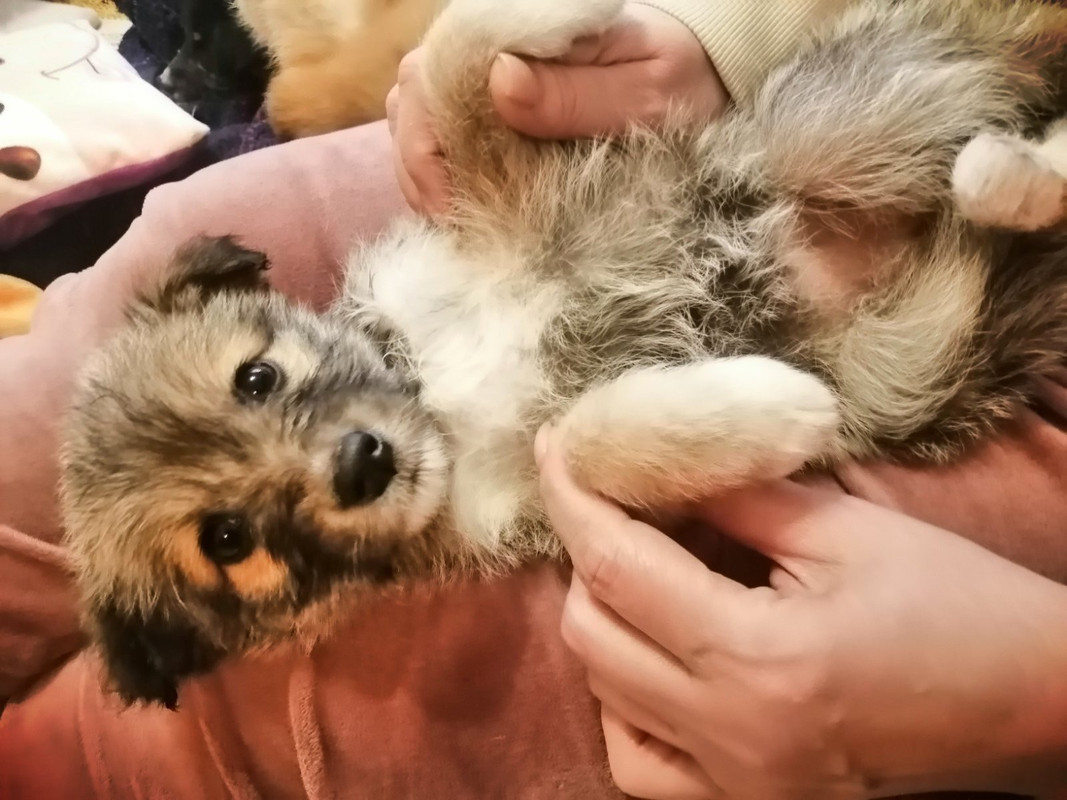 C0E265E6-7A17-427F-B6C4-004E56604CAF