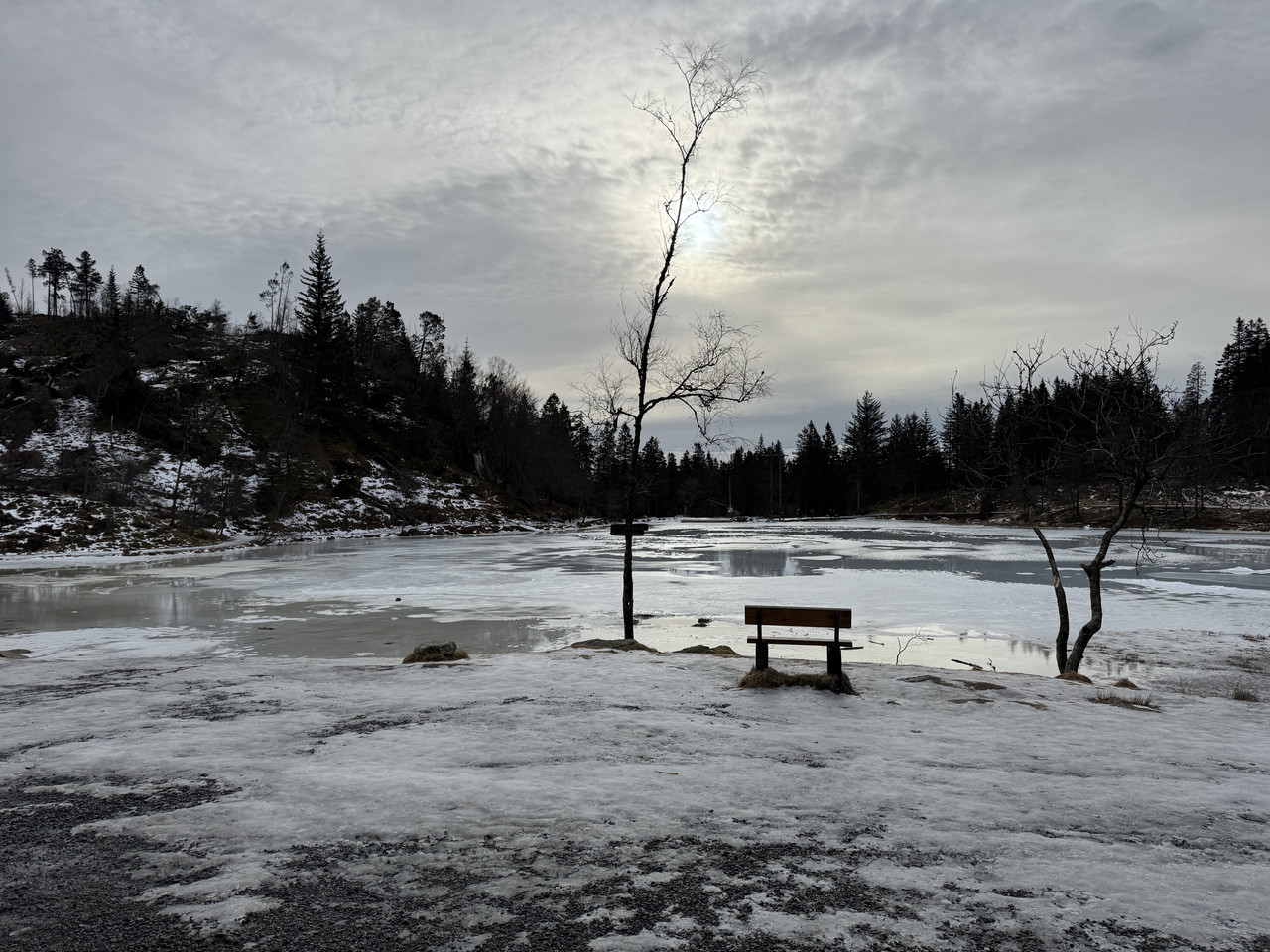 [Immagine: IMG-9779.jpg]