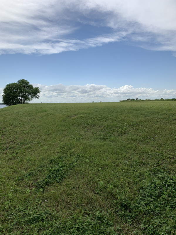 798E3960-DC02-41B2-B28D-D61F6DC4ADDE