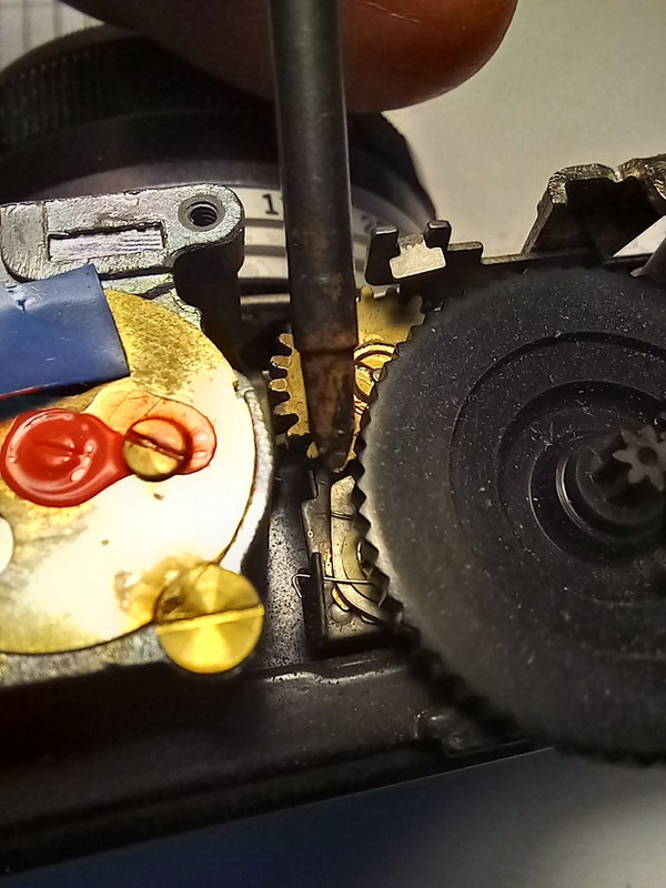 6 Ratelpal voor transport