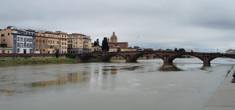 Florencia, Bolonia y Forli: Palacio Pitti, Biblioteca Laurenziana, el David etc - Roma (Hokusai), Florencia, Bolonia y Forli (11)