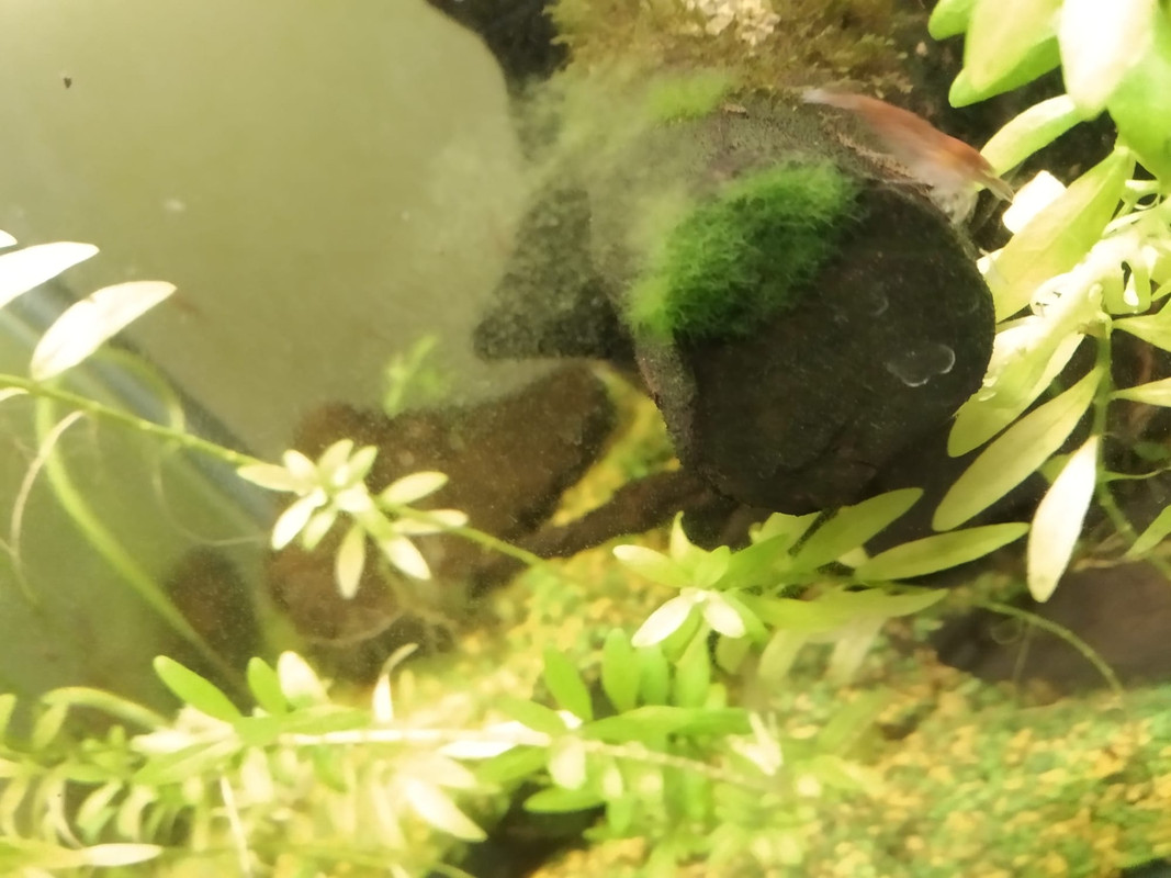 WhatsApp Image 2023-02-25 at 21.51.22