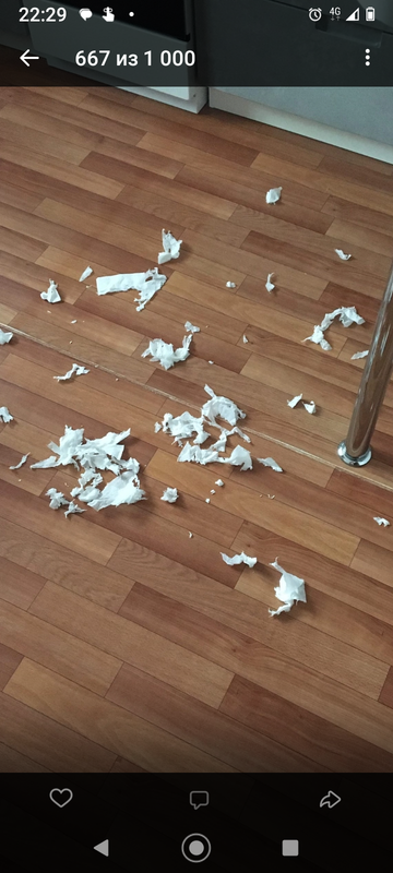 Screenshot_20230317-222949