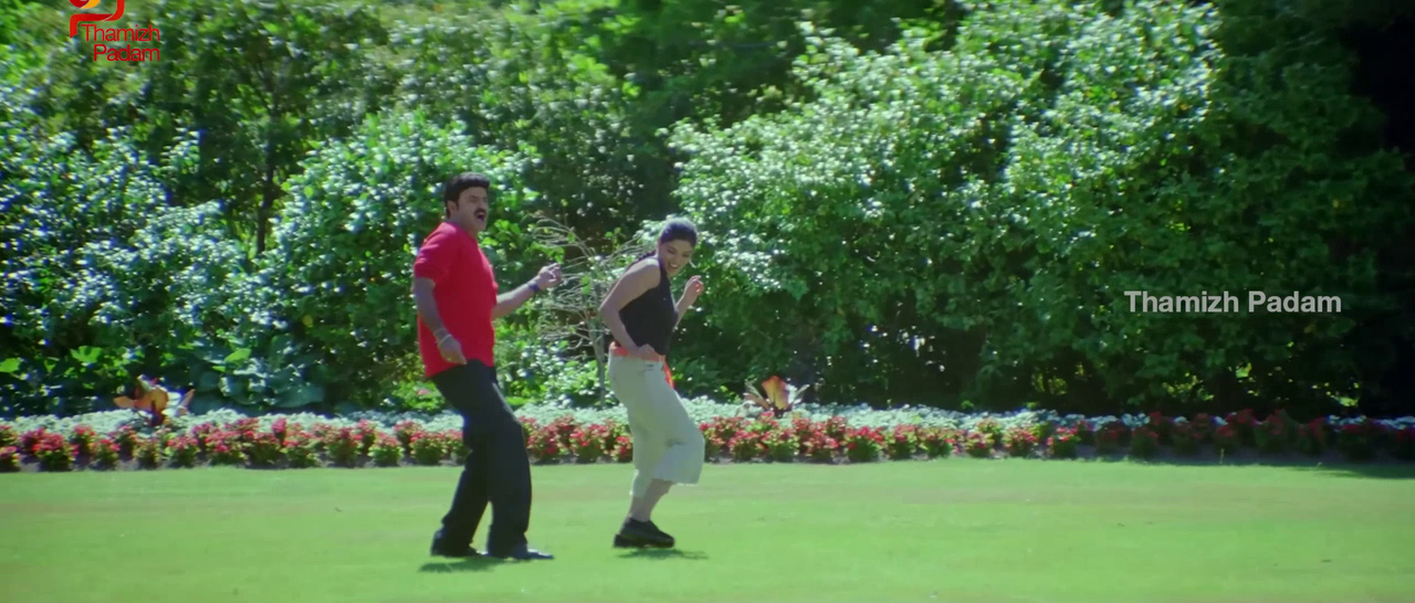 vlcsnap-2025-09-30-17h52m50s135