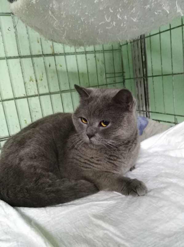 IMG_20191125_215557 (1)