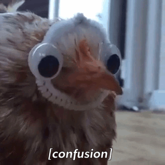 1656151579155.gif
